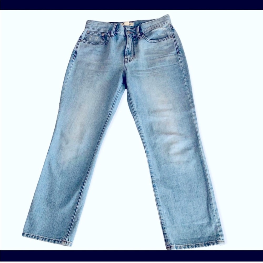 MADEWELL The Petit Perfect Vintage Jean in Fiore Wash 26P